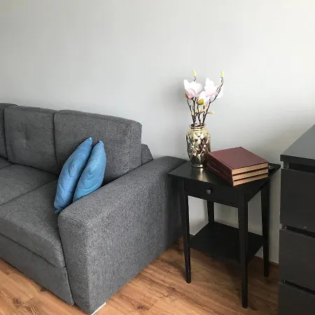 Studio Apartament W Centrum Leborka *